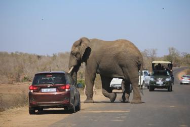 Navigating Power Struggles Without Losing Your Cool